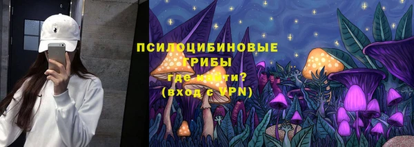 PSILOCYBIN Беломорск